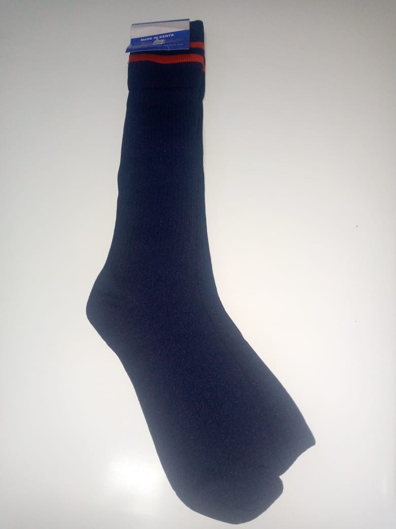 Viraj Academy-Navy blue Socks